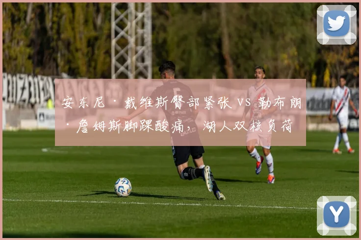 安东尼·戴维斯臀部紧张 vs 勒布朗·詹姆斯脚踝酸痛，湖人双核负荷管理策略深度对比